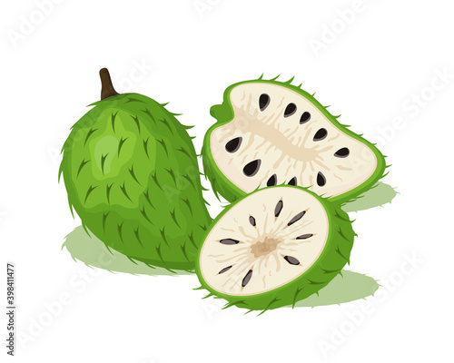 Green soursop fruit vector design, whole fruit and half