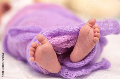 Baby feet of a newborn baby wrapped in lilac fluffy cloth, maternity ward, baby is 1 day old.
 photo