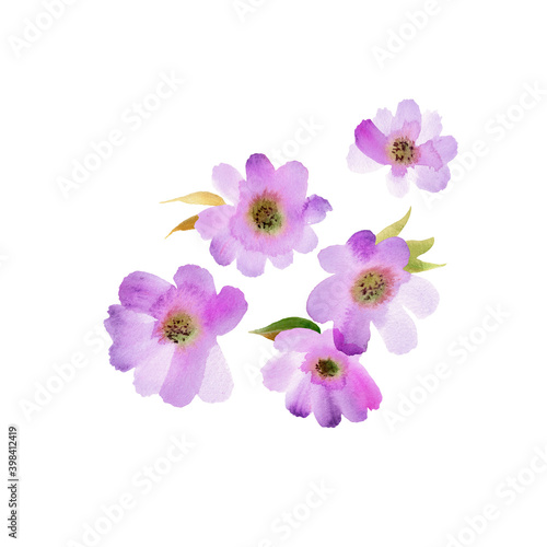Watercolor hand painted purple flowers. Elements for design of invitations  greeting cards