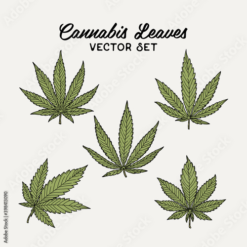 Green Cannabis Leaves Vector Set Hand Drawn Illustration