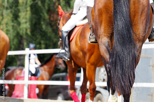 Equestrian sports, riders on horseback on a show jumping sport field