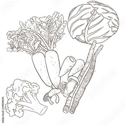 食物繊維の多い野菜、セット【モノクロ】