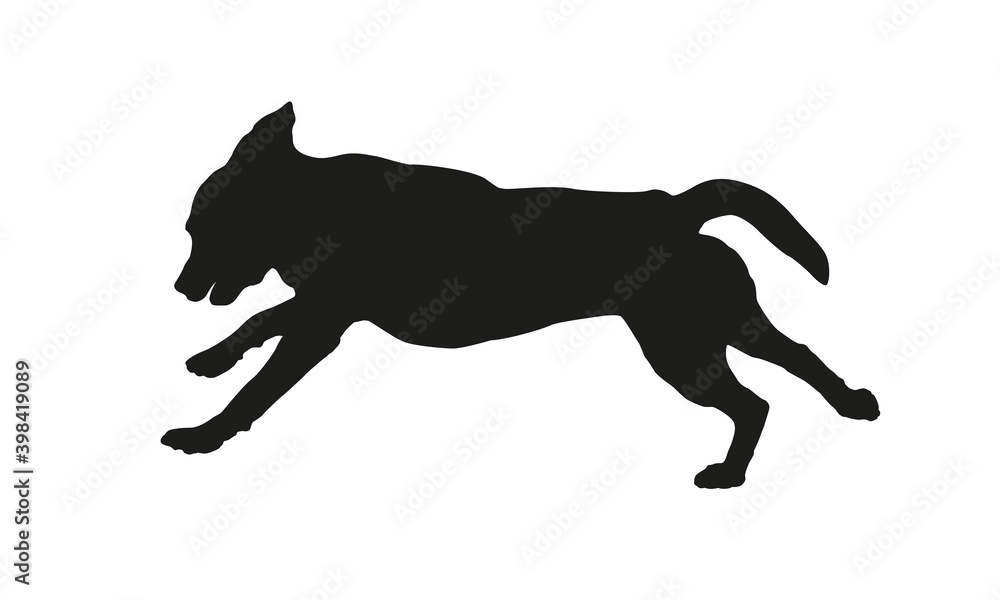 Black dog silhouette. Running labrador retriever puppy. Isolated on a white background.