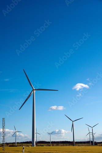 An agricultural field in Northern Germany with wind turbines.