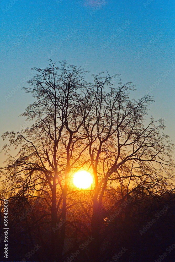 Sunrise over the winter forest in the suburbs. Sunrise over the winter forest in the suburbs.