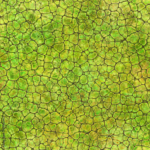 Cartoon seamless texture of color fantasy cobble stone ground pavement