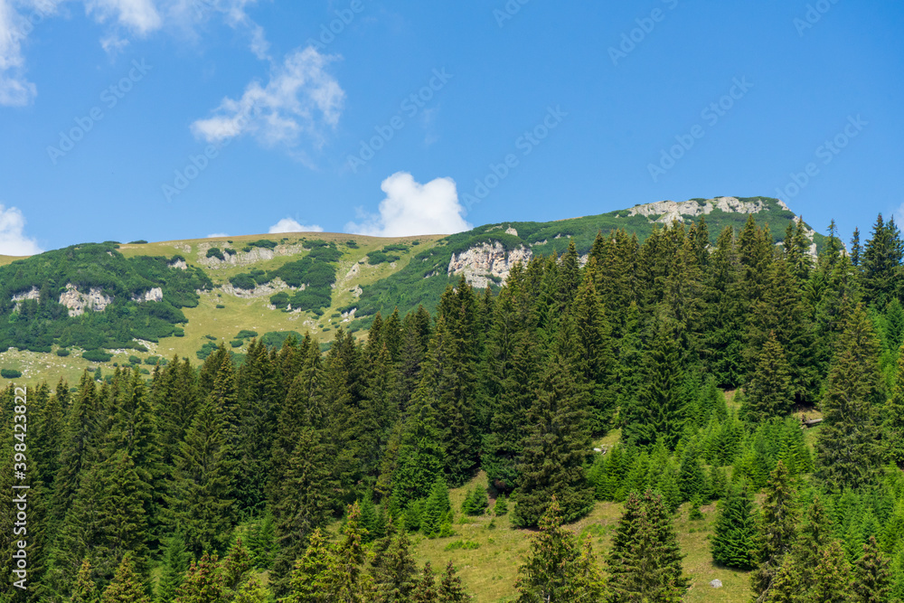 View from Bucegi mountains, Romania, Bucegi National Park View from Bucegi mountains, Romania, Bucegi National Park