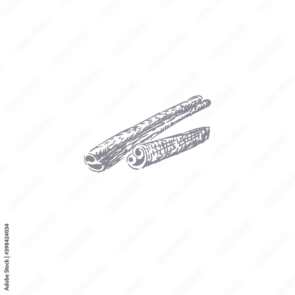 Cinnamon stick tied bunch. Vector drawing. Hand drawn sketch. Seasonal food illustration isolated on white. Engraved style spice and flavor. Cooking and mulled wine ingredient. Cinnamon stick tied bunch. Vector drawing. Hand drawn sketch. Seasonal food illustration isolated on white. Engraved style spice and flavor. Cooking and mulled wine ingredient.