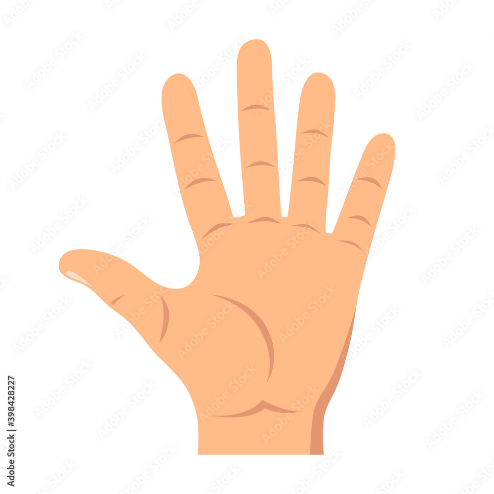 Counting fingers - number five. Hand showing five fingers, high five sign. Communication gestures concept. Vector illustration. Counting fingers - number five. Hand showing five fingers, high five sign. Communication gestures concept. Vector illustration.