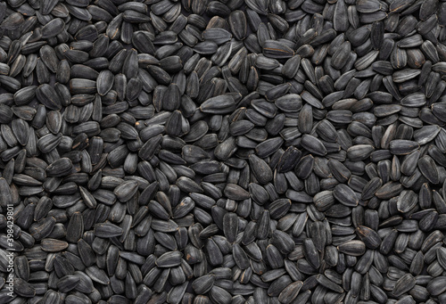 Seamless texture of delicious roasted sunflower seeds.