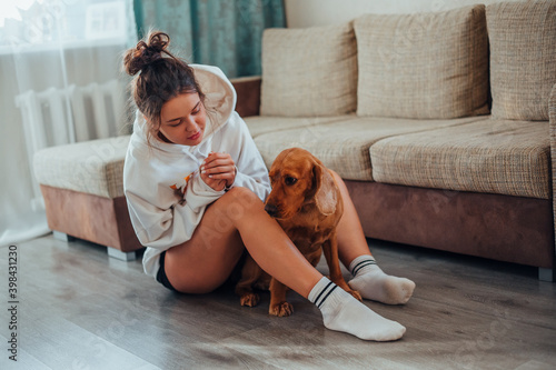 Fotografie Dog breed Cocker Spaniel offended by the girl