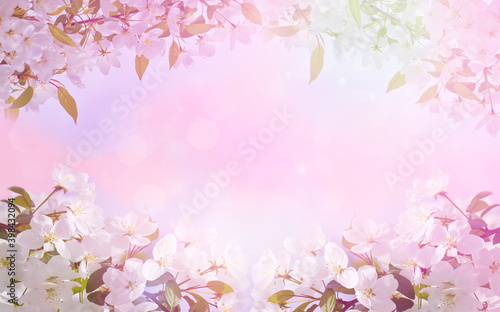 Spring-summer background in pastel colors - blooming apple tree, white flowers with delicate petals, frame for design. Abstract natural background.