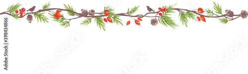 Christmas seamless backgrounds. Vector illustration with fir branches, red berries and cones.