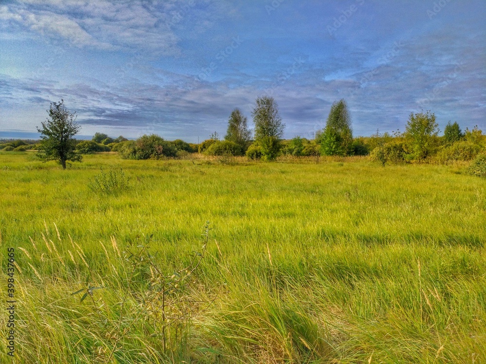 Obraz premium field and blue sky
