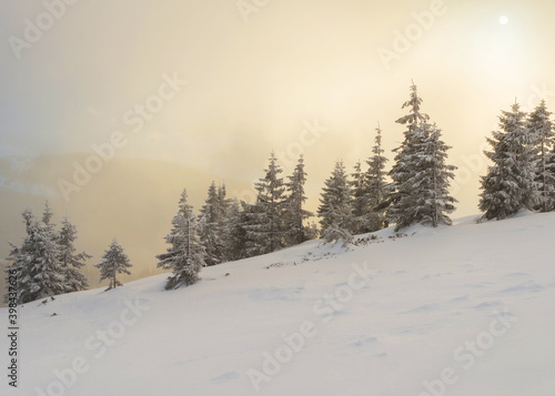 Sunrise over the snow-covered mountain slope.