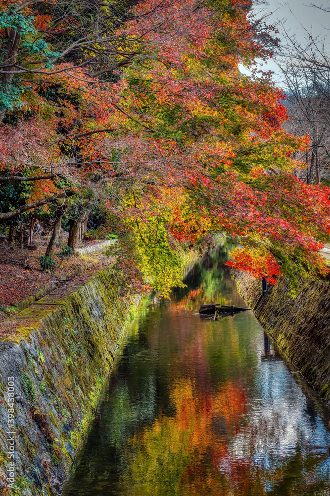 Japanese maple trees reflected in the canal next to the Philosopher's walk in Kyoto, Japan, in autumn Japanese maple trees reflected in the canal next to the Philosopher's walk in Kyoto, Japan, in autumn
