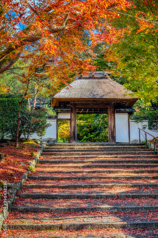 Stairway to the main gate at Anrakuji temple, Kyoto, Japan, in the peak period of autumn colors.
