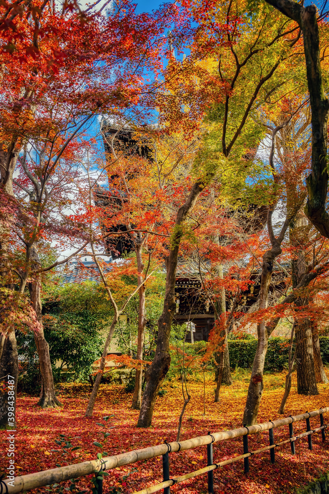 Shinnyo-do Temple, Kyoto, famous for the autumn leaves colors of the Japanese maple Shinnyo-do Temple, Kyoto, famous for the autumn leaves colors of the Japanese maple