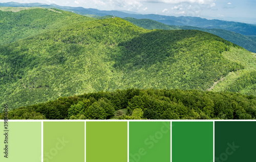 Green panoramic natural scenery. Beautiful mountain landscape in contrast light and dark green gamma. Color palette swatches, fresh fashion trends in color combination inspired by natural beauty.