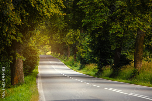 Clean rural road with trees in the High Tatras National Park.