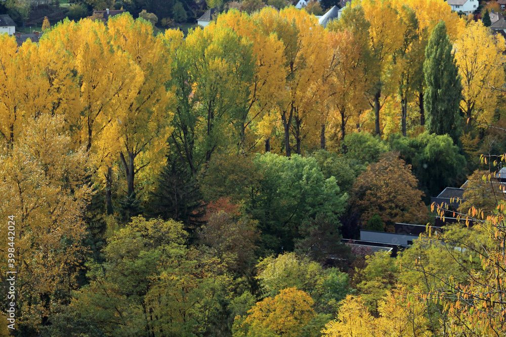 Herbststimmung Herbststimmung