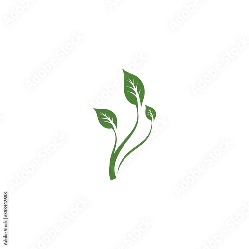 Leaf ecology Logo Template vector symbol nature