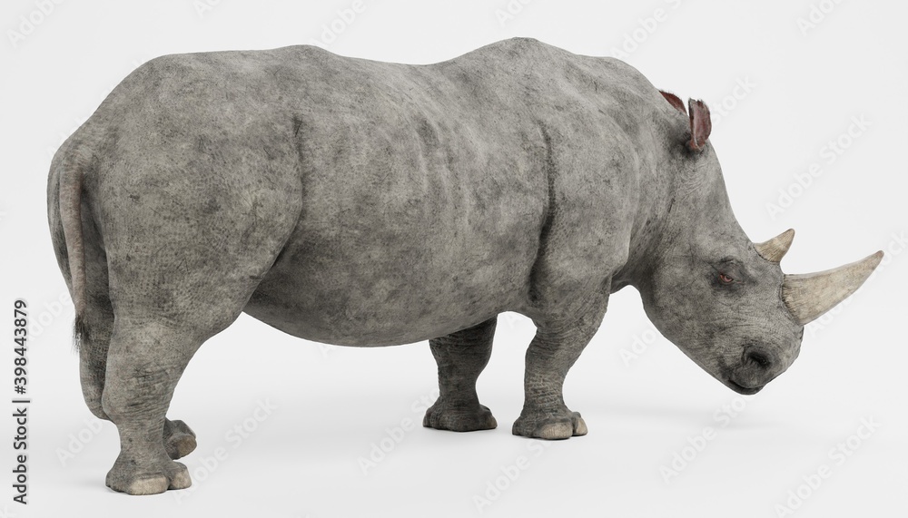 Obraz premium Realistic 3D Render of White Rhinoceros