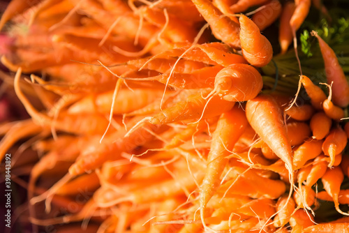 Wallpaper Mural Bunch of fresh organic baby carrots on local market .Thailand. Torontodigital.ca