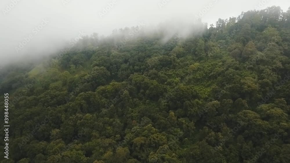 Mountain forest in the clouds. Mystical forest in the fog. Aerial view of over tropical rainforest in mountains with white fog, clouds, Bali,Indonesia. Fog over the jungle. Aerial footage. Mountain forest in the clouds. Mystical forest in the fog. Aerial view of over tropical rainforest in mountains with white fog, clouds, Bali,Indonesia. Fog over the jungle. Aerial footage.