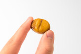 Roasted chestnuts on a white background