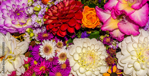 Photo of close-up abstract flower background consist of many flowers