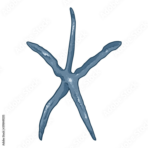 Vector Cartoon Starfish Illustration