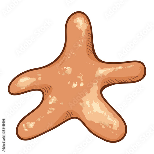 Vector Cartoon Starfish Illustration