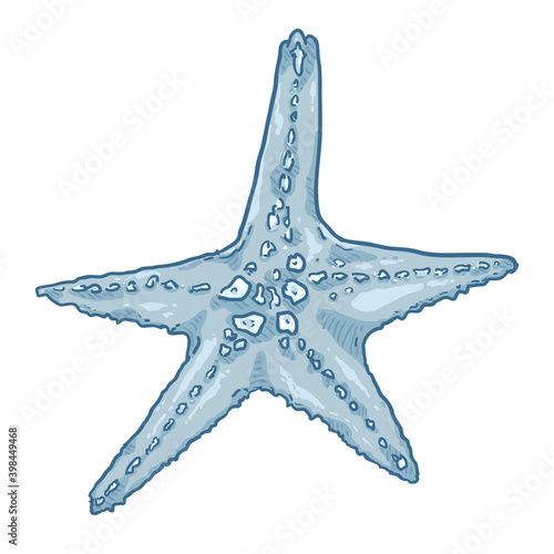 Vector Cartoon Starfish Illustration