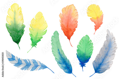 Watercolor feather set with green  yellow and red elements isolated on white. Hand drawn illustration.