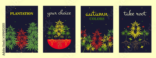 Colorful cannabis posters design with grass, roots and leaves. Dark brochure for marihuana smoking shop. Hemp and legal drug concept. Template for promotional leaflet or flyer