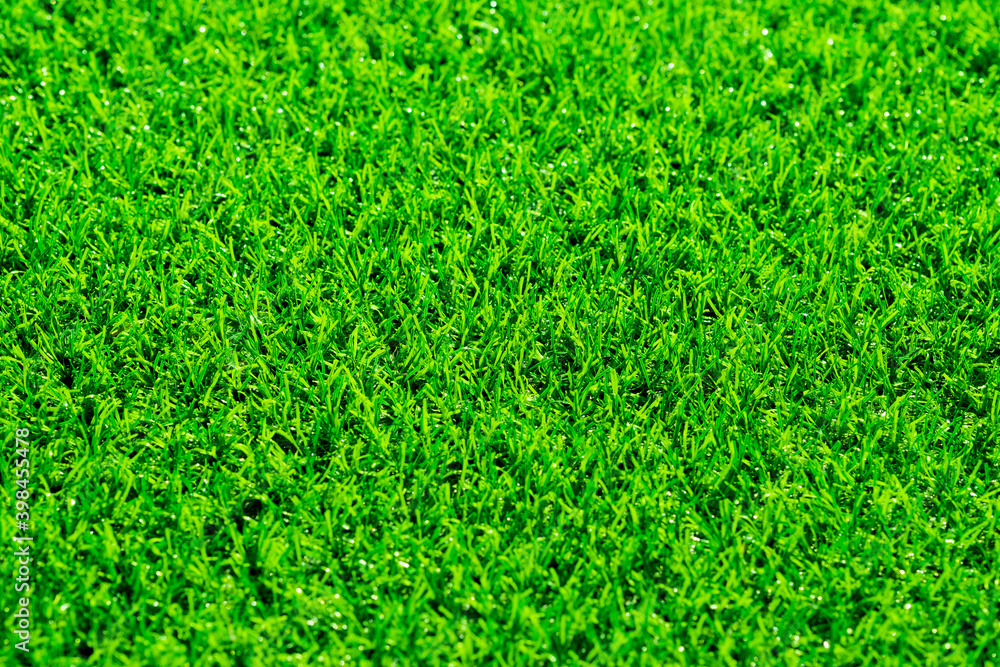 Naklejka Green grass background, football field
