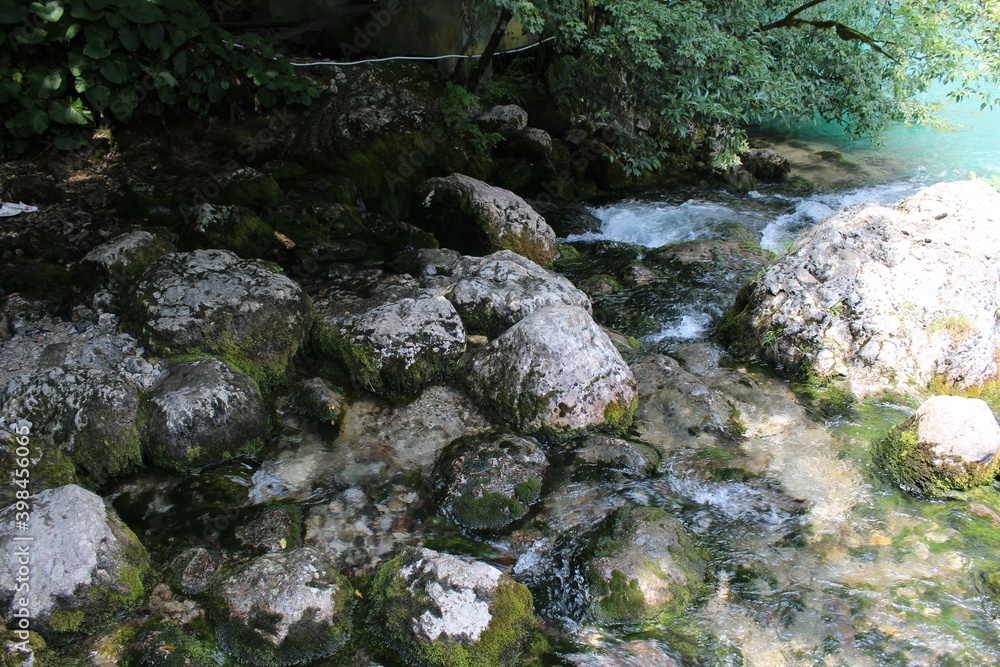 river in the forest river in the forest