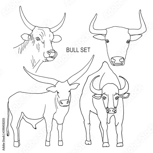 Set sketch of a standing bull with large horns, isolated on a white background. Contour vector illustration for coloring and other design