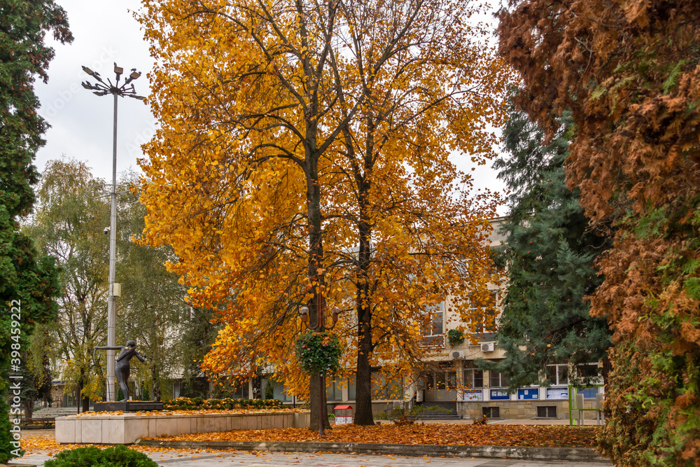 Town Hall at the center of town of Montana, Bulgaria Town Hall at the center of town of Montana, Bulgaria