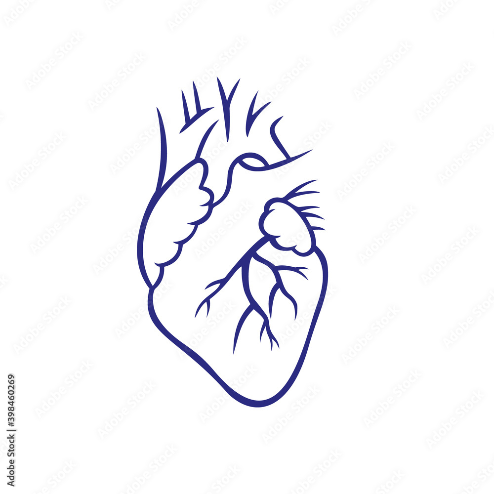 Human heart symbol. Vector illustration. Human heart symbol. Vector illustration.