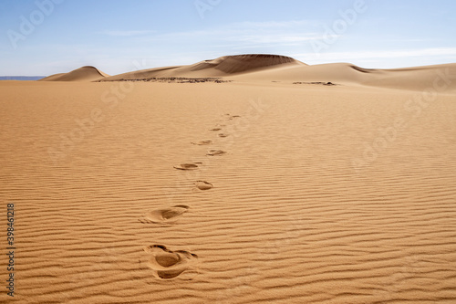 Footprint in in the sand  Sahara Desert  Chad