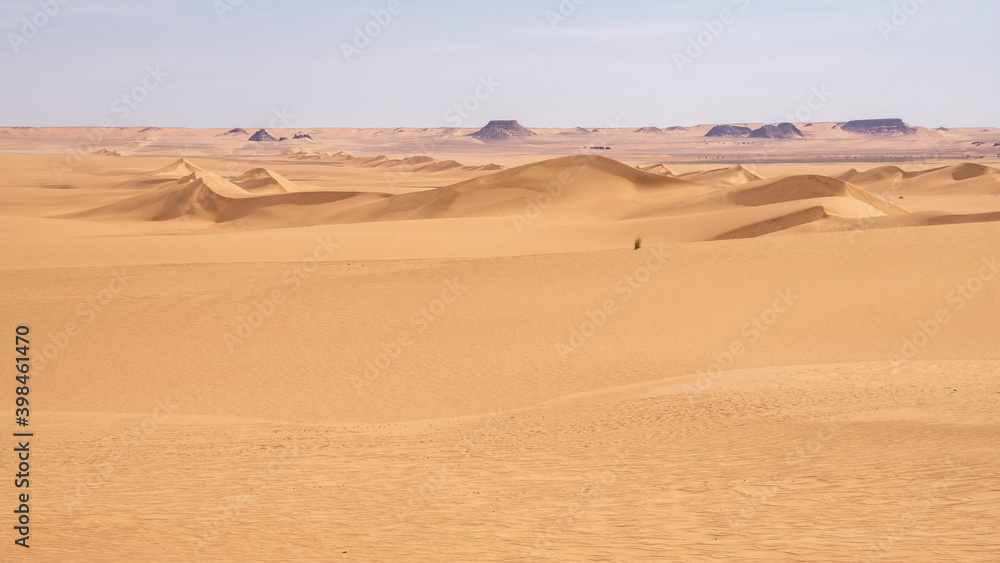Panoramic photograph of dune with dry vegetation, Sahara Desert, Chad, Africa Panoramic photograph of dune with dry vegetation, Sahara Desert, Chad, Africa