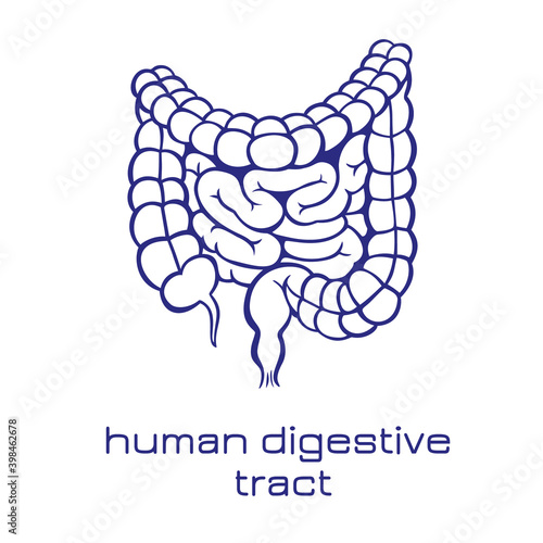 Human digestive tract icon. Vector illustration.