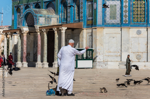 An old imam wearing white arabian gowns and feeding birds and cats at the Golden Dome of the Rock, an Islamic shrine located on the Temple Mount in the Old City of Jerusalem.