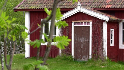 Old red tradtional wooden house with rowan leaves in the foreground