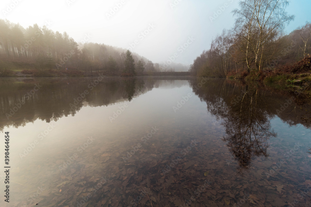 Fototapeta premium Forest cannock chase aok ,England Forest 