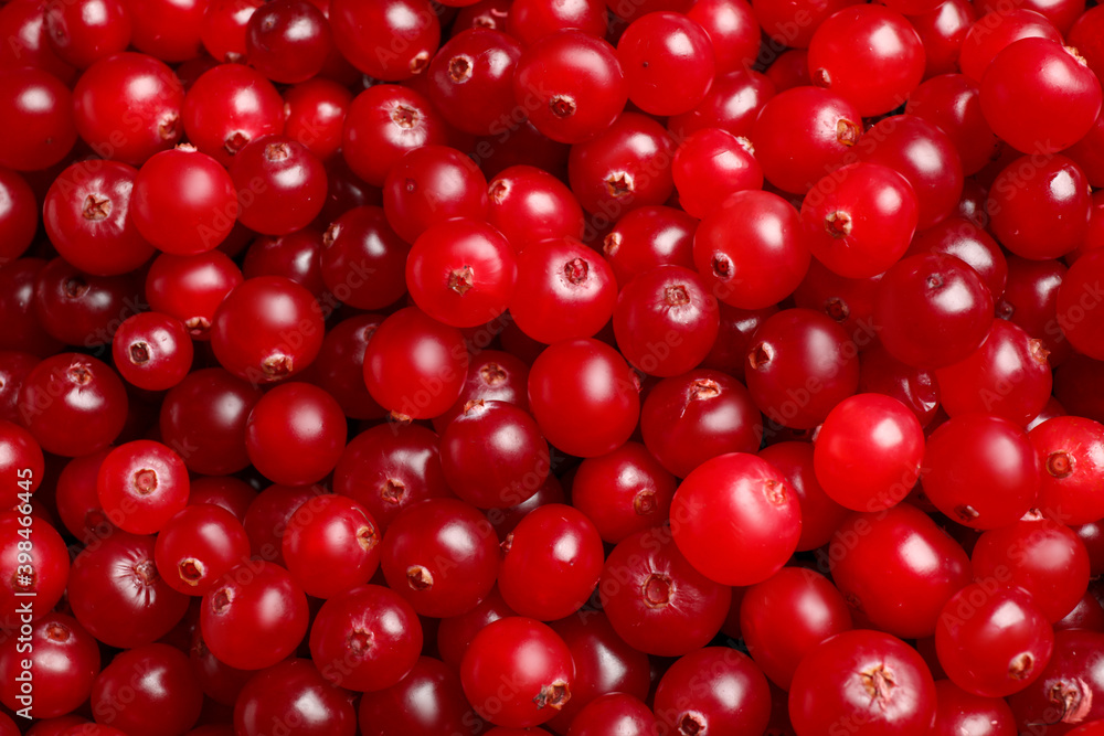Fresh ripe cranberries as background, closeup view Fresh ripe cranberries as background, closeup view
