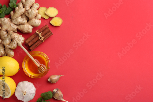 Flat lay composition with different natural antibiotics on red background  space for text