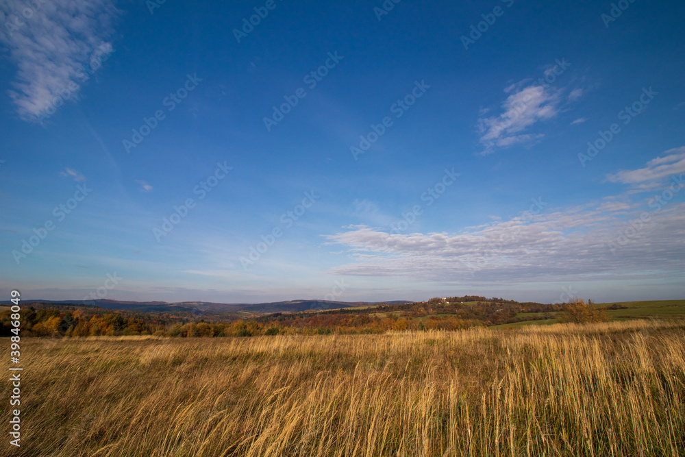 Obraz premium field and blue sky
